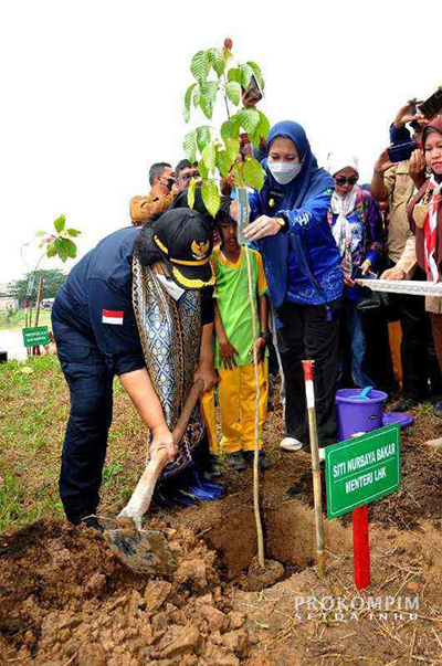 Bupati Inhu, Wakil Bupati dan Menteri LHK Tanam Pohon di Pinggir Sungai Demi Jaga Alam